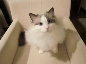 20121227 (3)