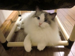 20121227 (4)