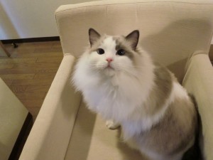 20121227 (5)
