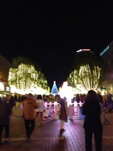 IMG_0435