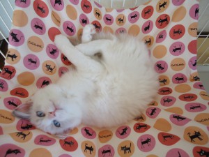 DSC02506