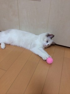 ふらん3