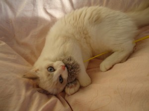 DSC030761